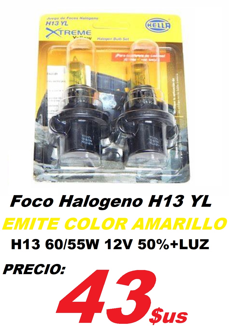 H13YL